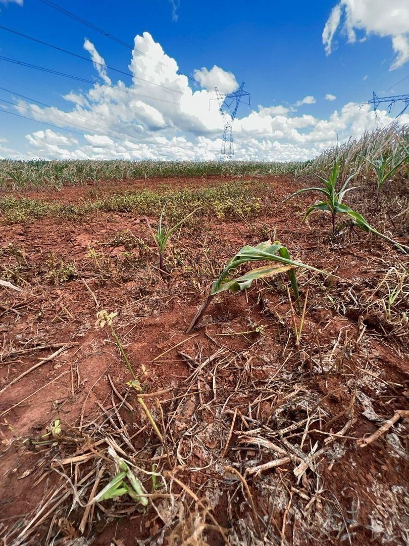 Fazenda à venda, 15497700000m² - Foto 17