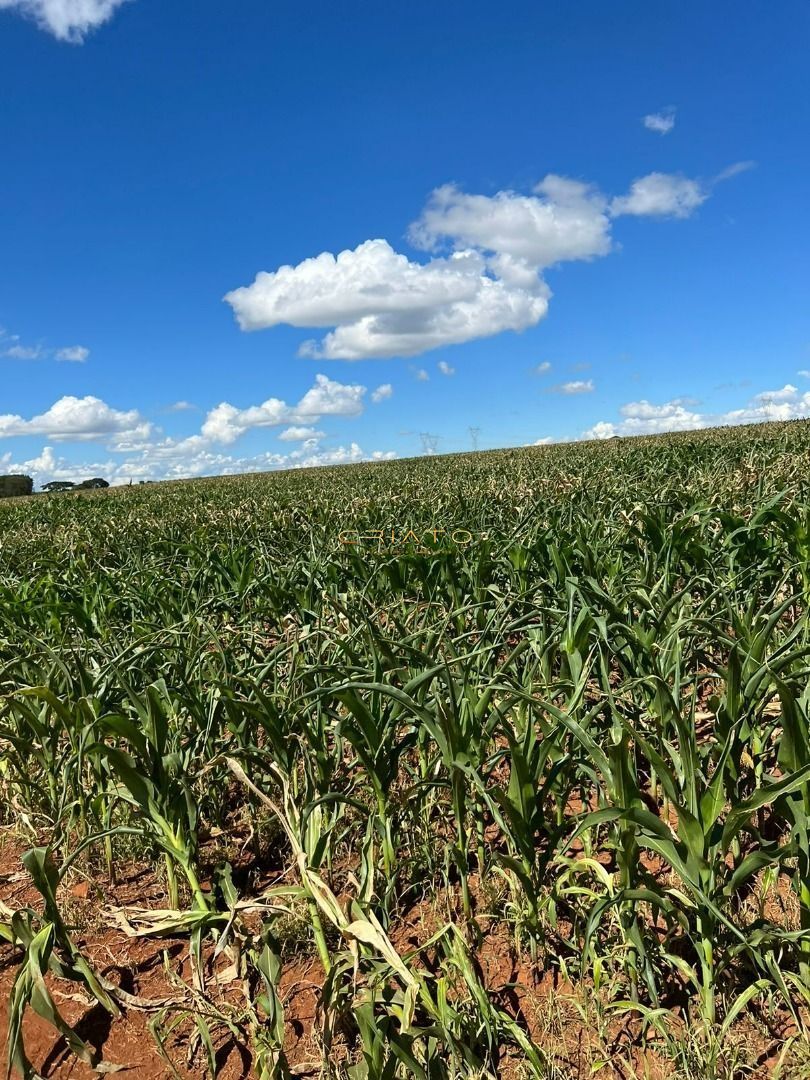 Fazenda à venda, 15497700000m² - Foto 15