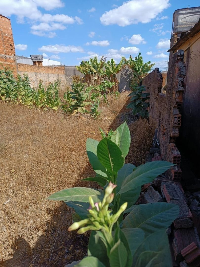 Terreno à venda, 250m² - Foto 1