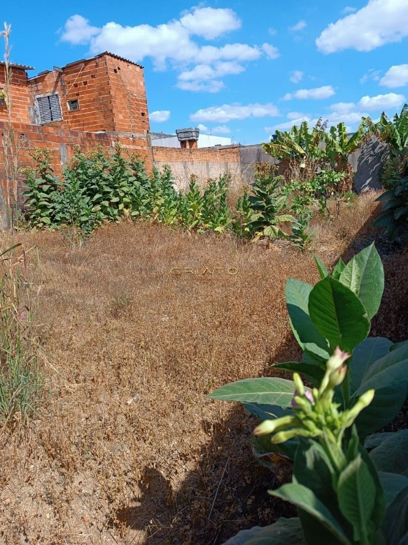 Terreno à venda, 250m² - Foto 4