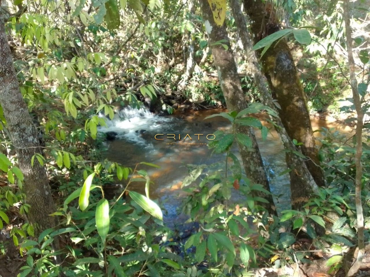 Fazenda à venda, 20000m² - Foto 7