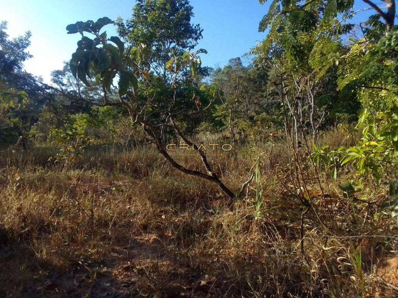 Fazenda à venda, 20000m² - Foto 5