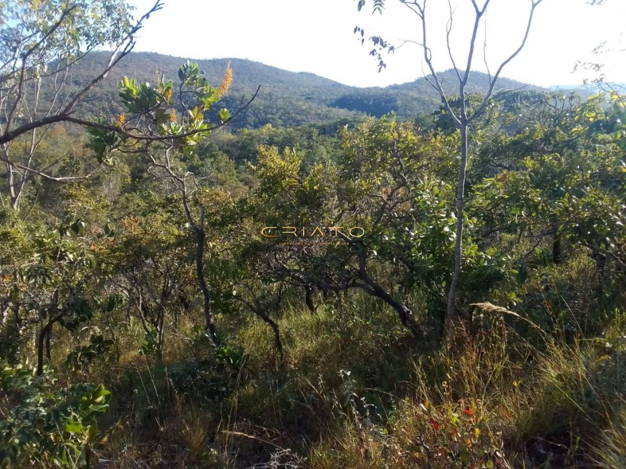 Fazenda à venda, 20000m² - Foto 6