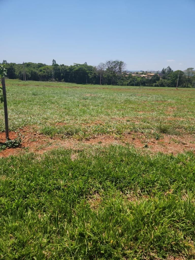 Terreno à venda, 800m² - Foto 4