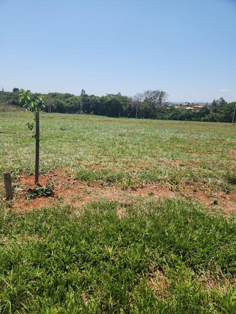 Terreno à venda, 800m² - Foto 2