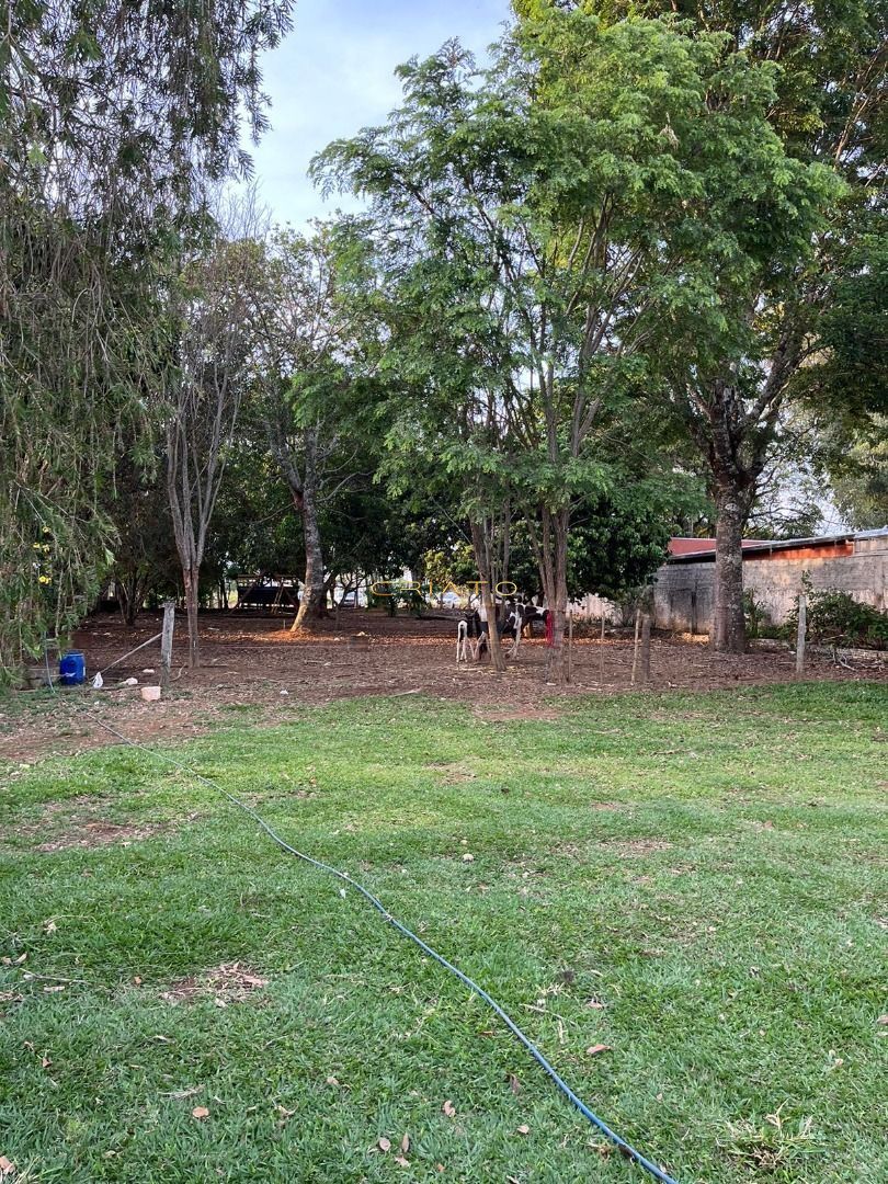 Fazenda à venda com 2 quartos, 96800m² - Foto 16