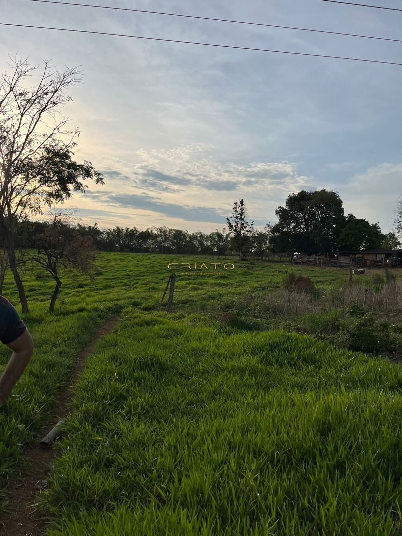 Fazenda à venda com 2 quartos, 96800m² - Foto 8