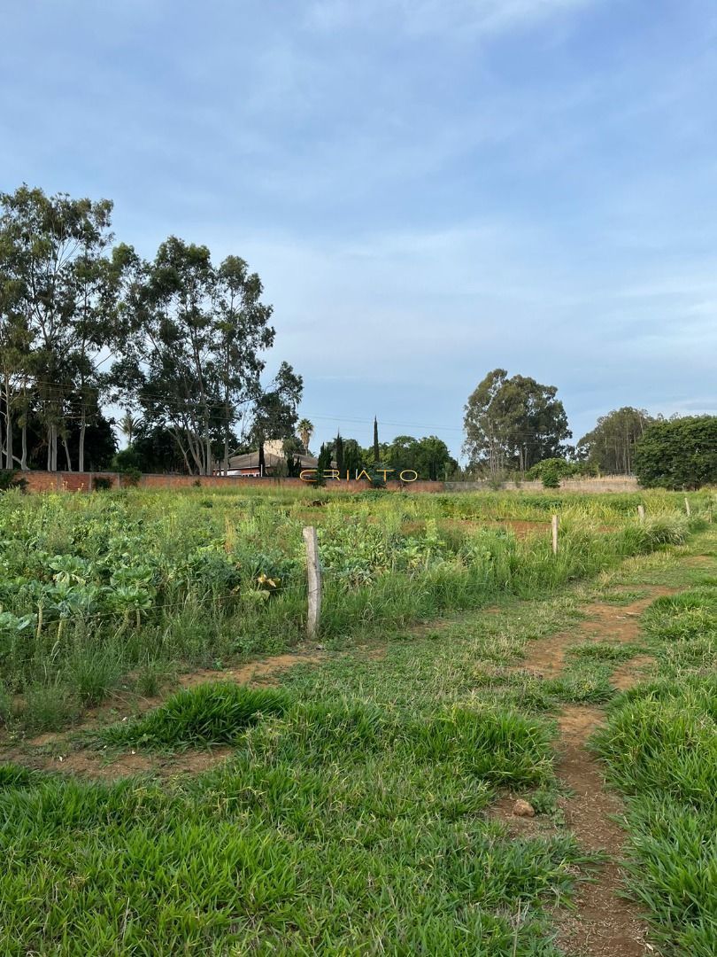 Fazenda à venda com 2 quartos, 96800m² - Foto 13