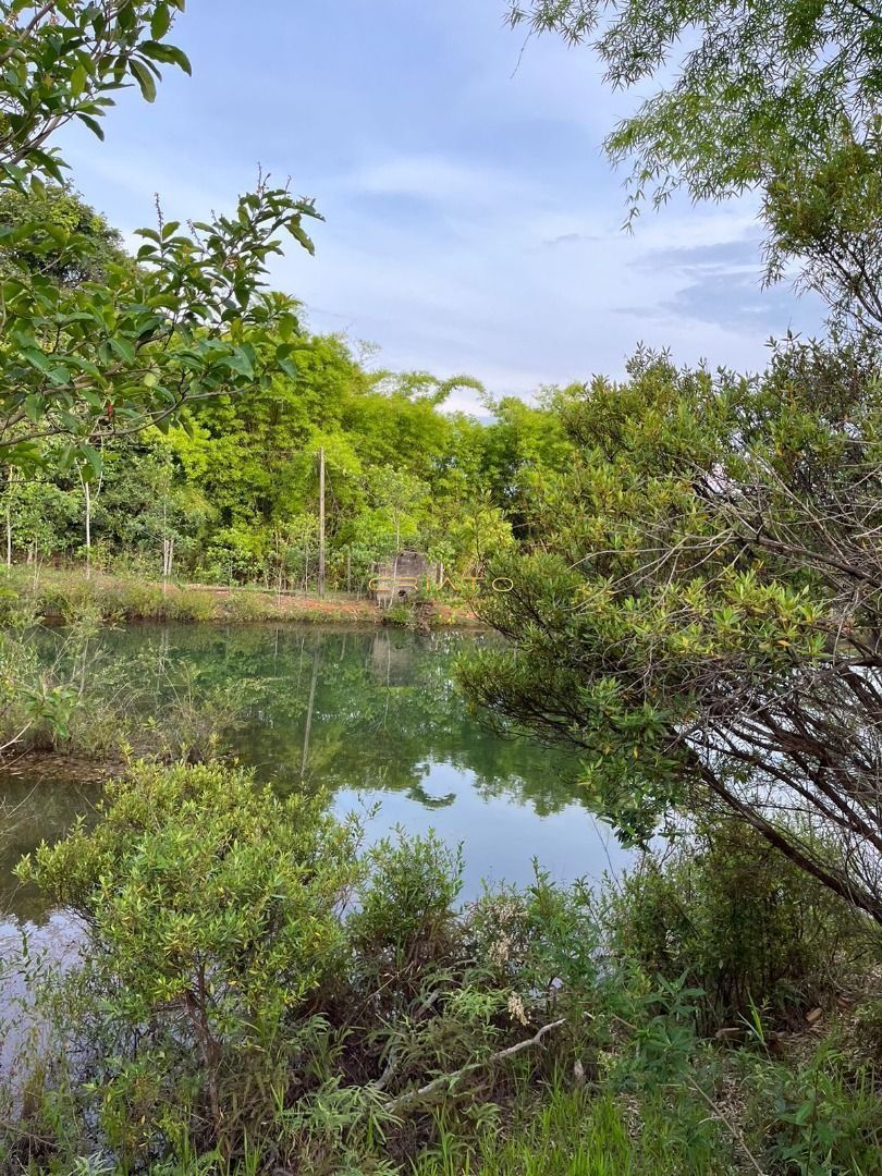 Fazenda à venda com 2 quartos, 96800m² - Foto 19