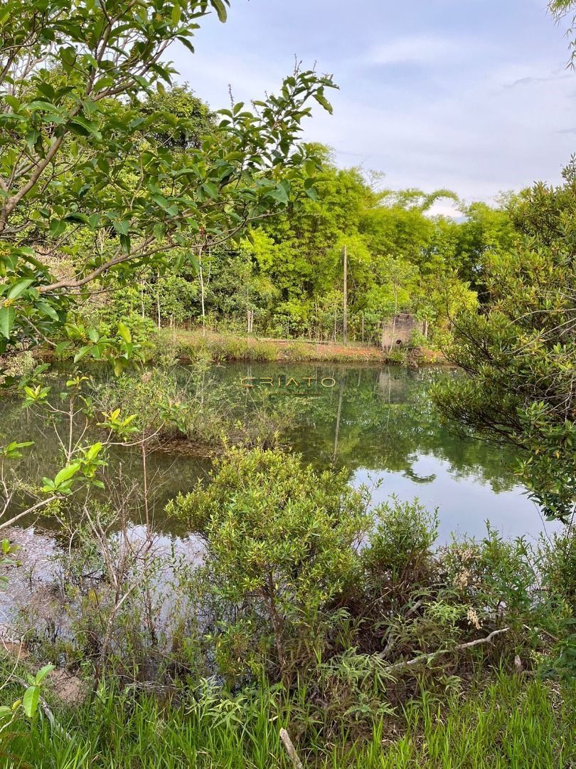 Fazenda à venda com 2 quartos, 96800m² - Foto 17