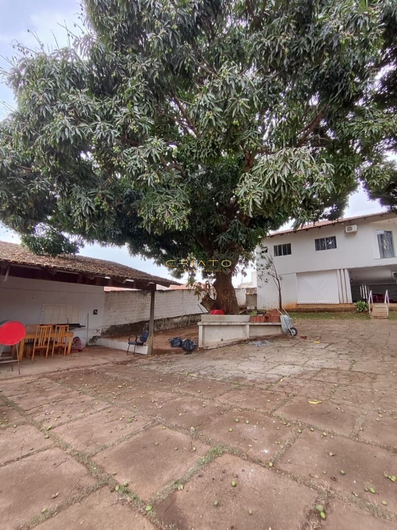 Fazenda à venda com 3 quartos, 1000m² - Foto 11