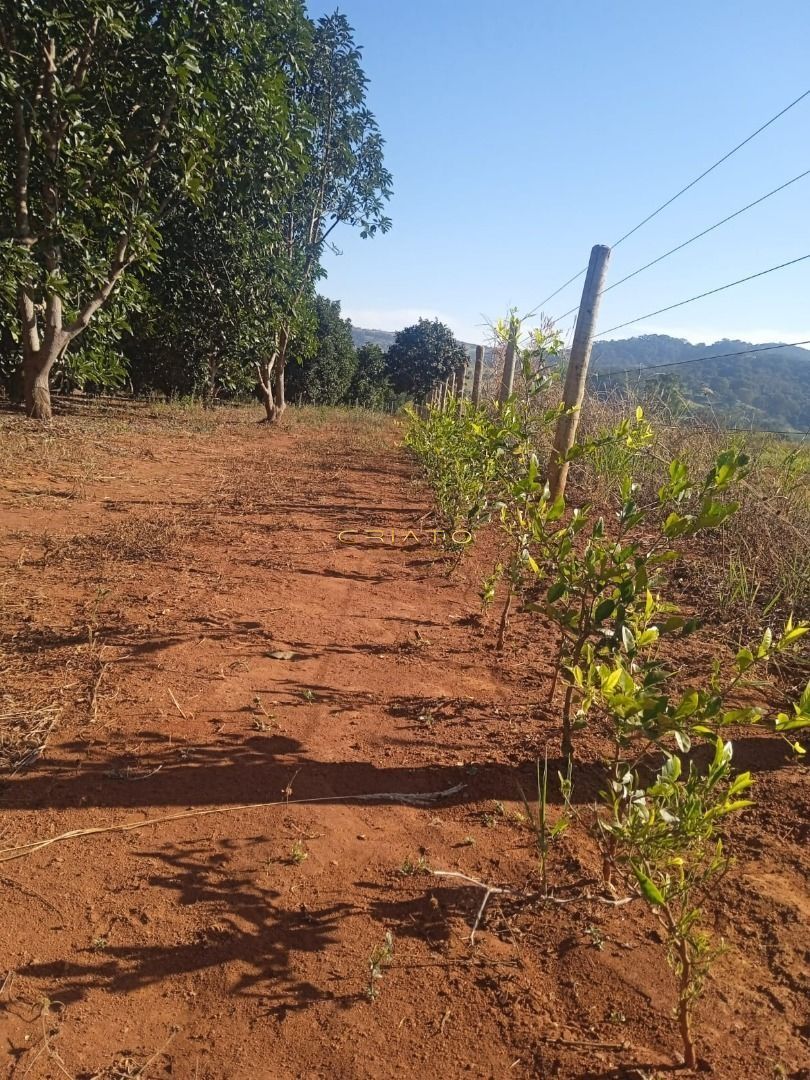 Fazenda à venda, 4000m² - Foto 9