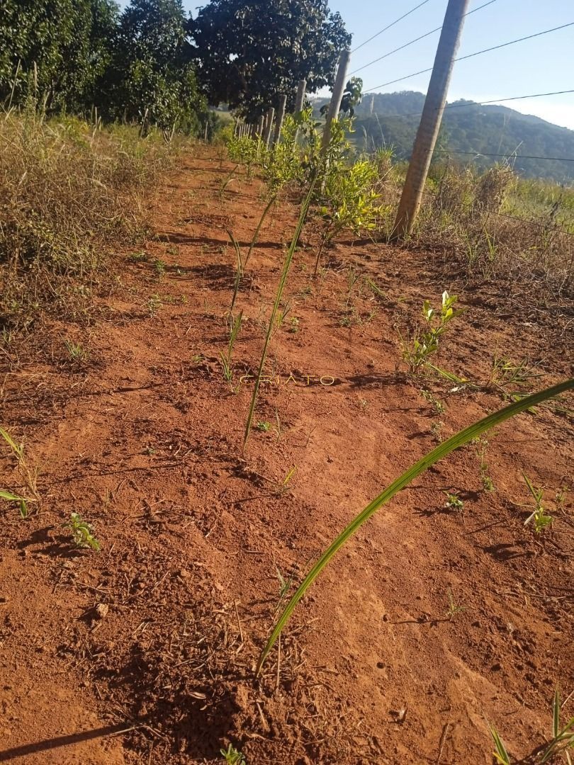 Fazenda à venda, 4000m² - Foto 8