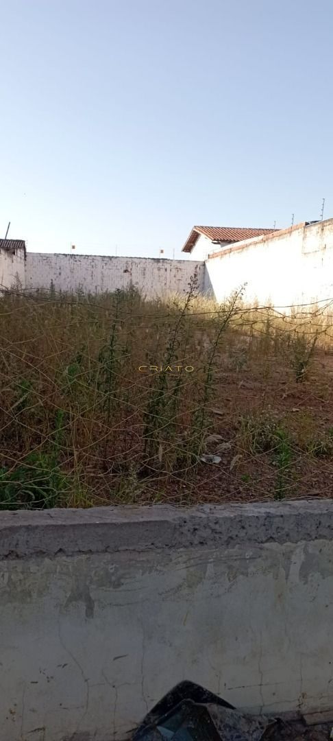 Terreno à venda, 300m² - Foto 3