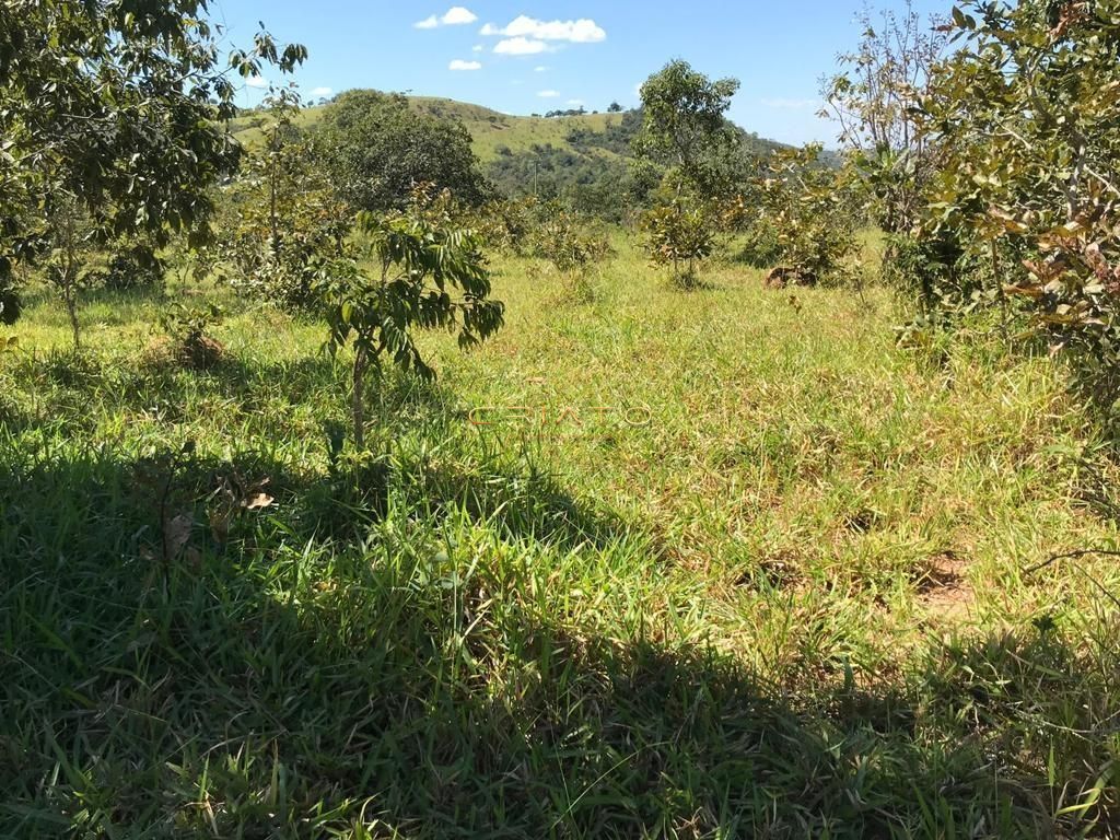 Fazenda à venda, 1936000m² - Foto 11