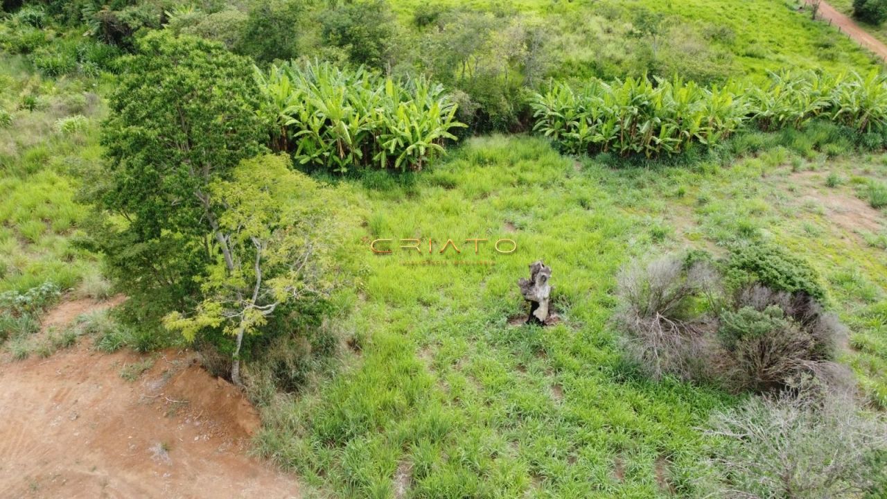 Fazenda à venda, 2530m² - Foto 3