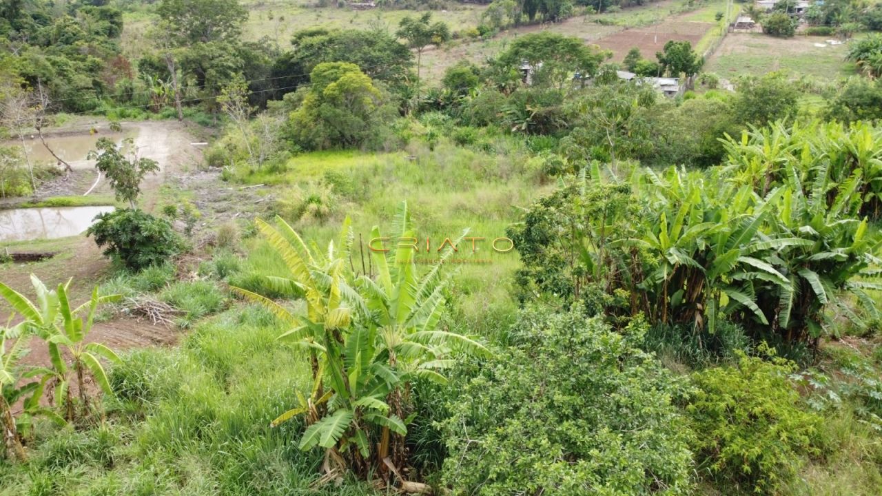 Fazenda à venda, 2530m² - Foto 5