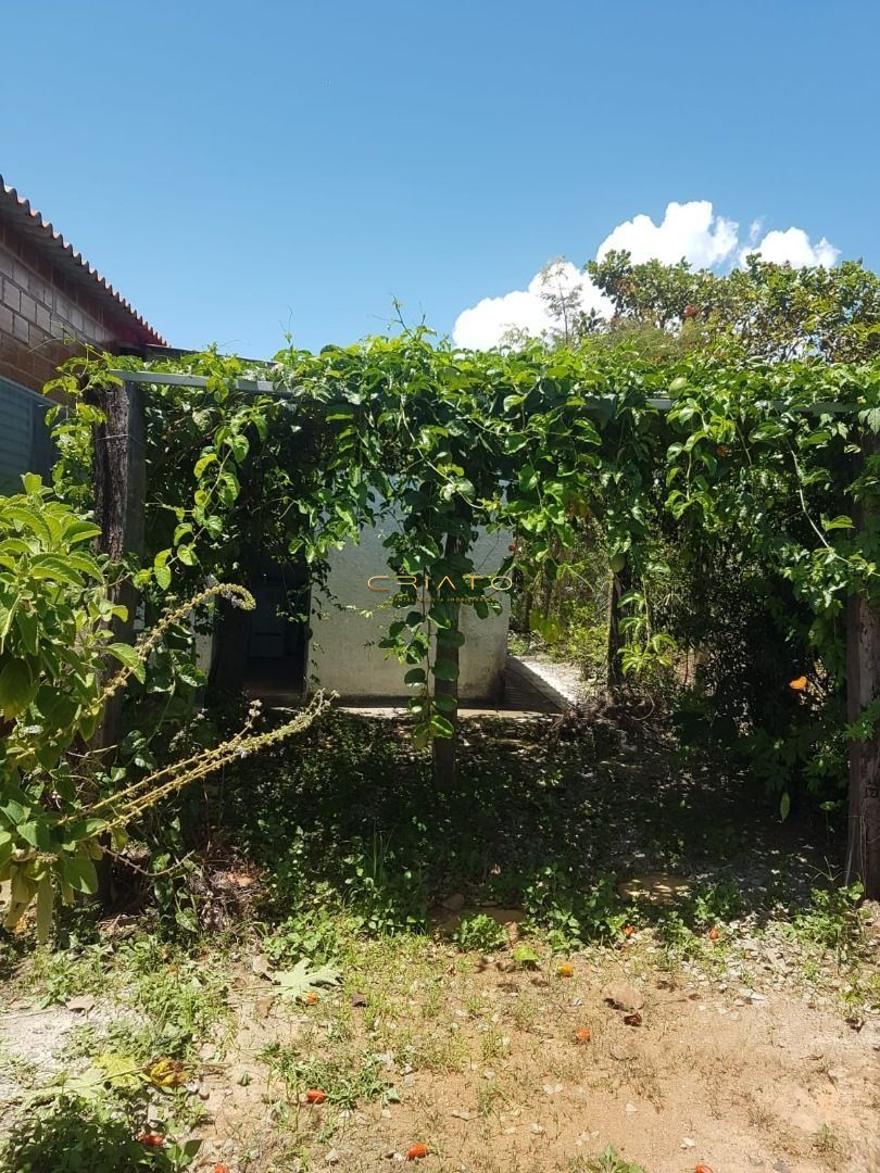 Fazenda à venda com 3 quartos, 280m² - Foto 11