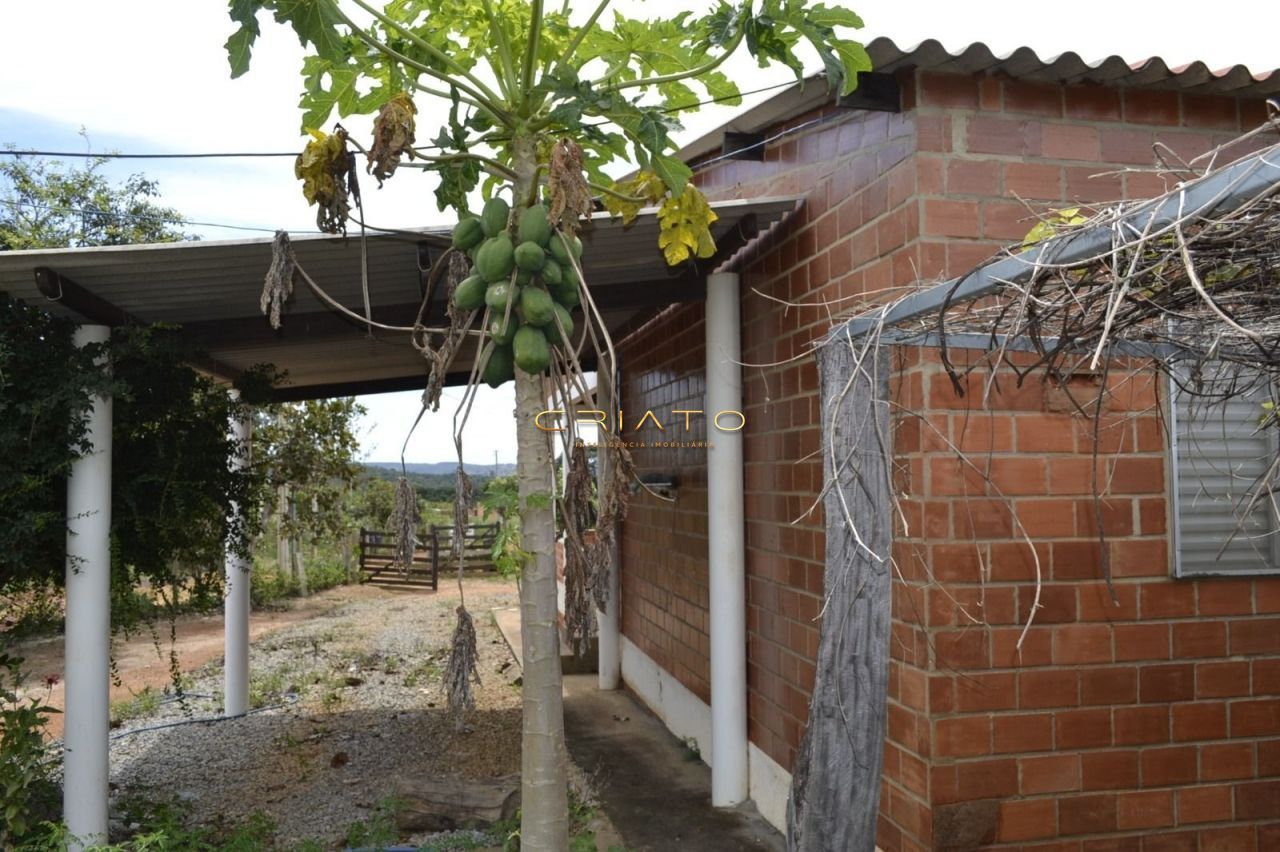 Fazenda à venda com 3 quartos, 280m² - Foto 13