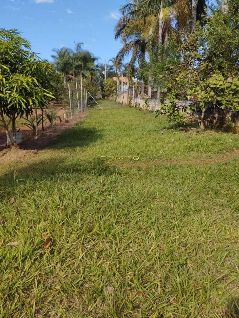 Fazenda à venda com 3 quartos, 250m² - Foto 8