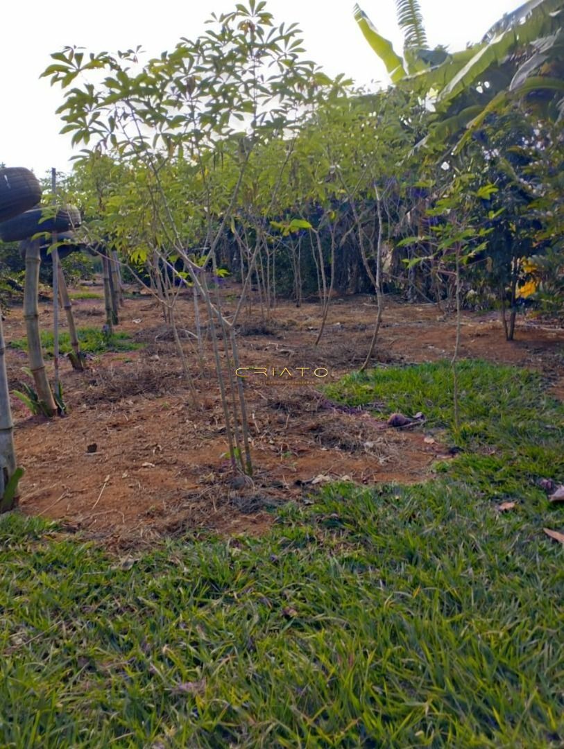 Sítio à venda com 3 quartos, 250m² - Foto 11