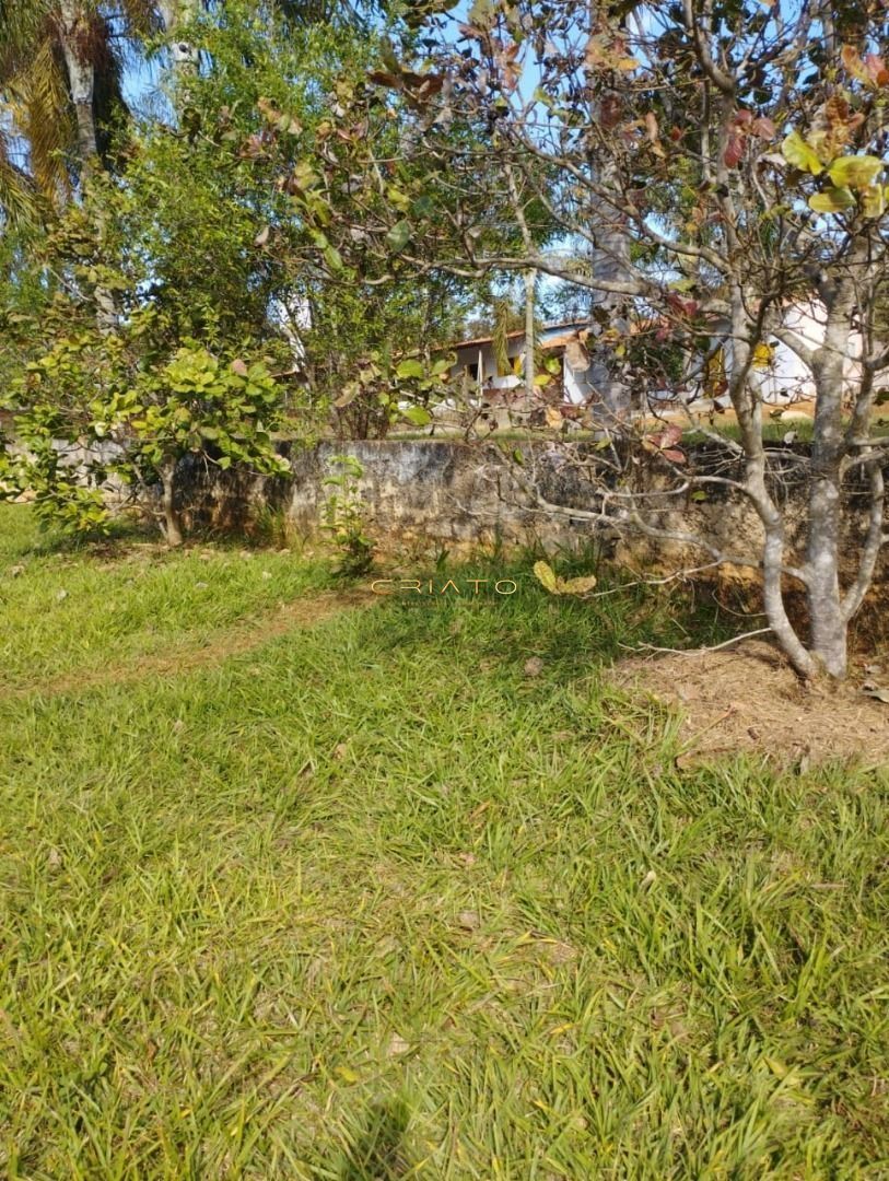 Fazenda à venda com 3 quartos, 250m² - Foto 1