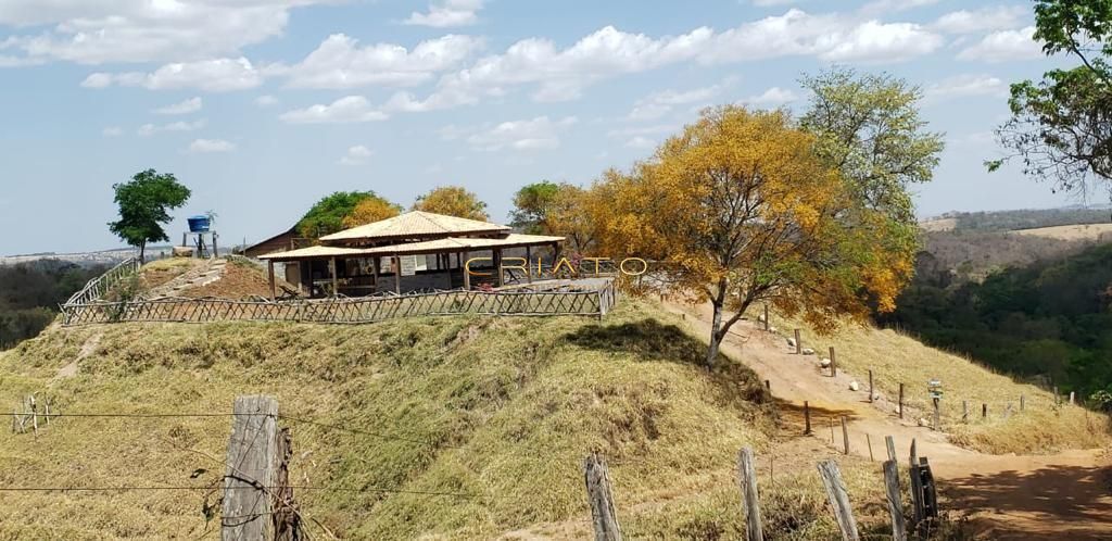 Fazenda à venda com 10 quartos, 100000m² - Foto 9