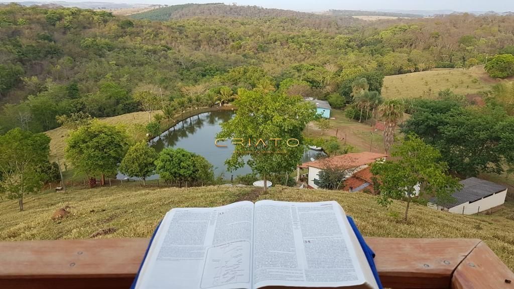 Fazenda à venda com 10 quartos, 100000m² - Foto 3