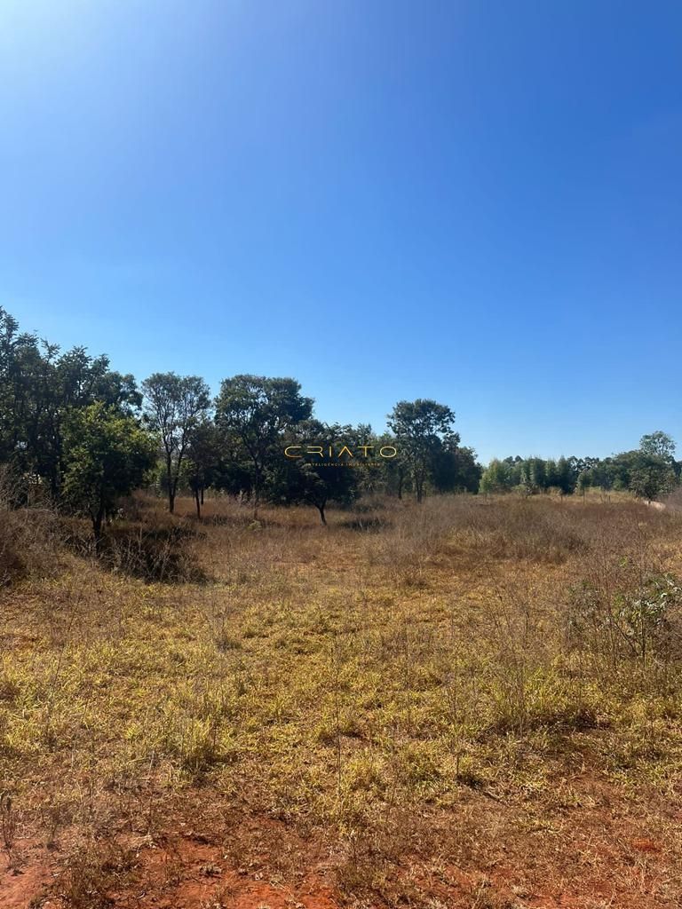 Fazenda à venda com 2 quartos, 100m² - Foto 4