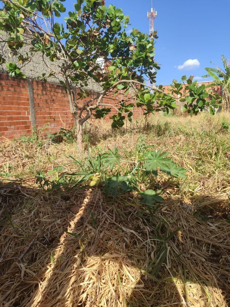 Terreno à venda, 300m² - Foto 4