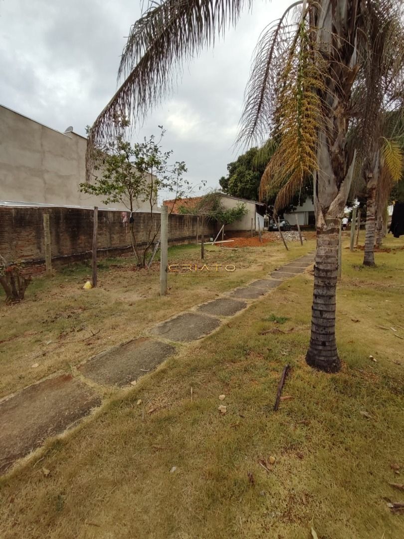 Fazenda à venda com 3 quartos, 1000m² - Foto 9