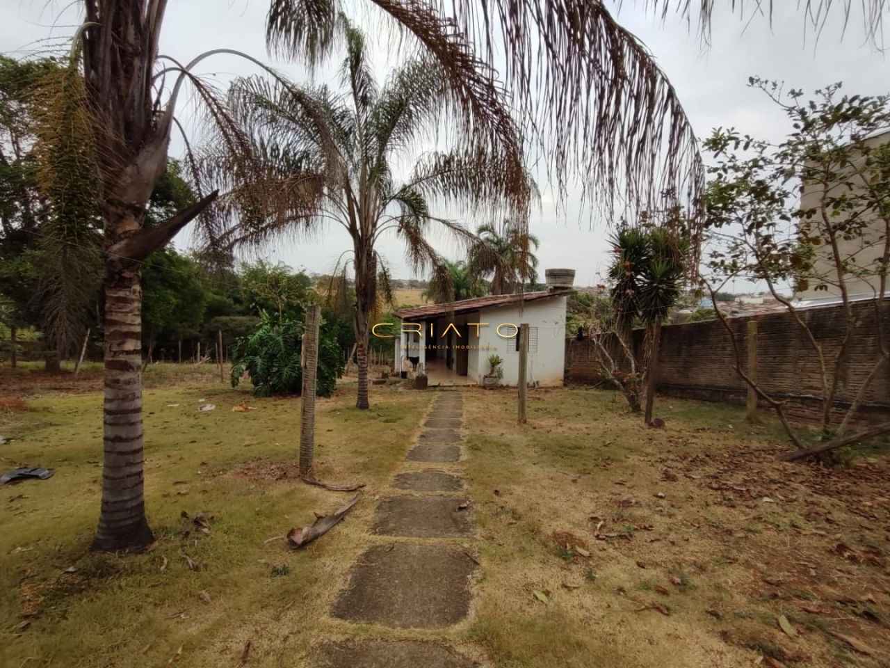 Fazenda à venda com 3 quartos, 1000m² - Foto 8