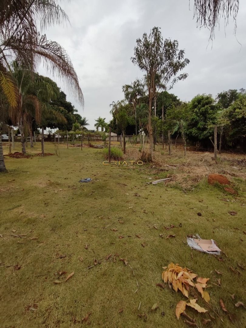 Fazenda à venda com 3 quartos, 1000m² - Foto 7