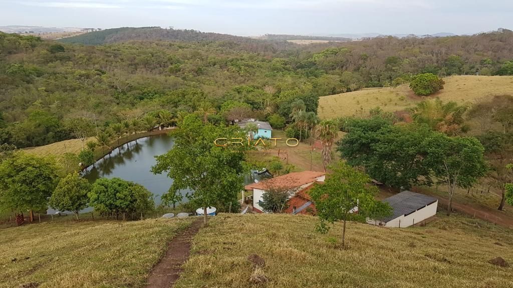 Fazenda à venda com 10 quartos, 100000m² - Foto 11