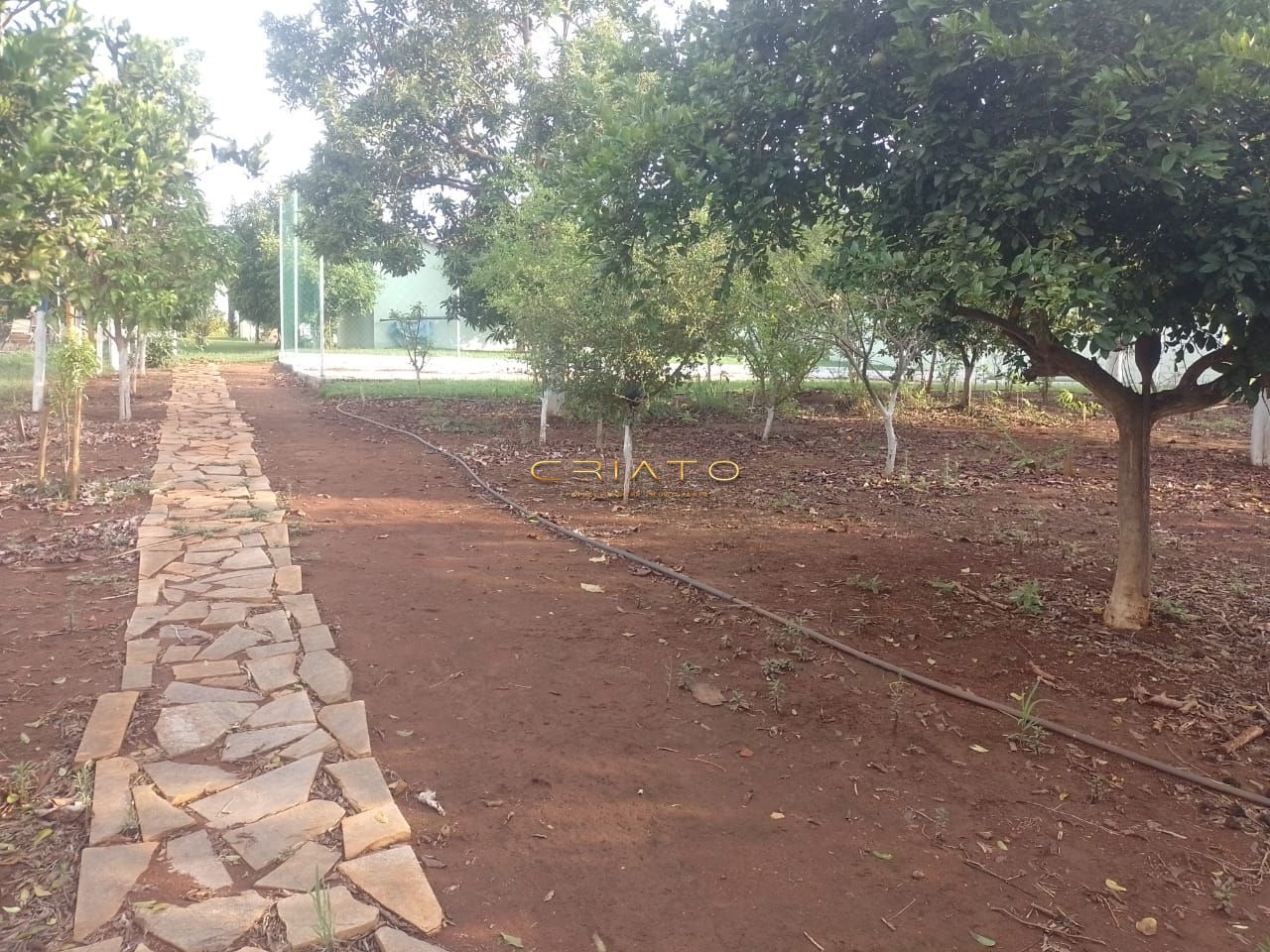 Chácara à venda com 3 quartos, 4m² - Foto 14