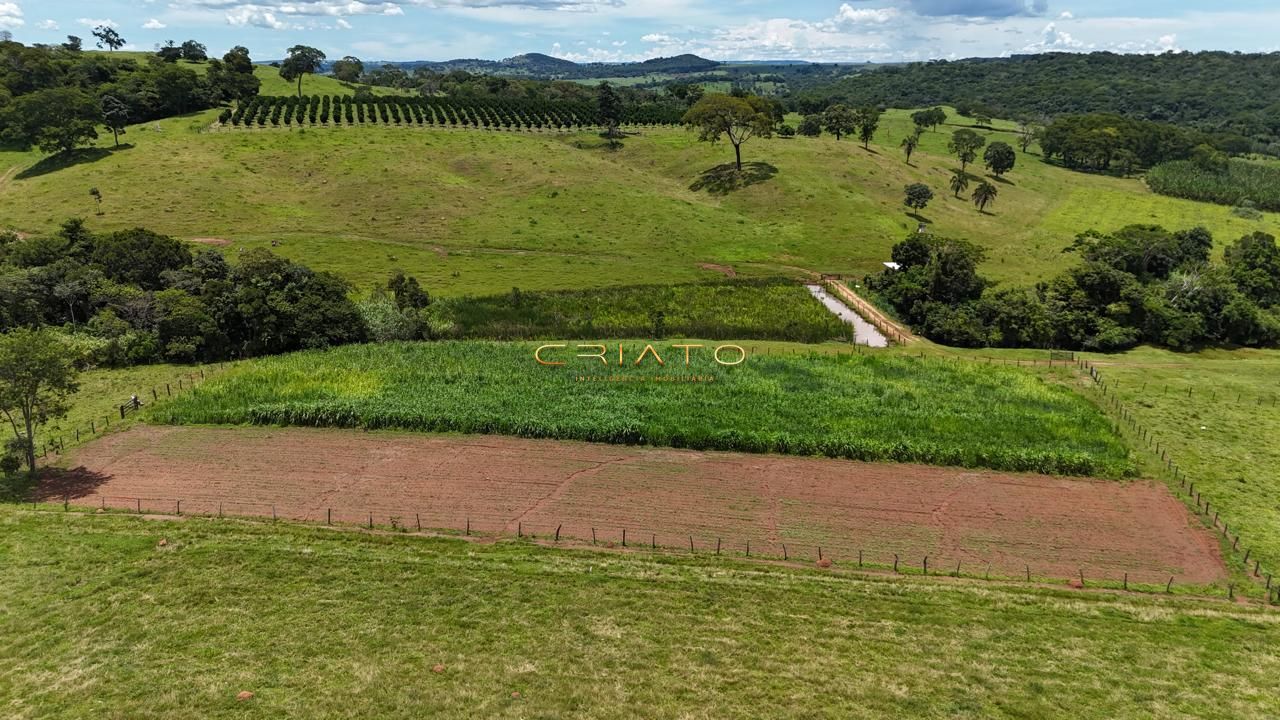 Fazenda, 44 hectares - Foto 5