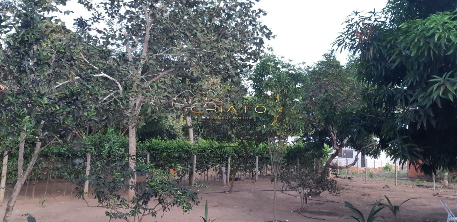 Chácara à venda com 2 quartos, 85m² - Foto 18