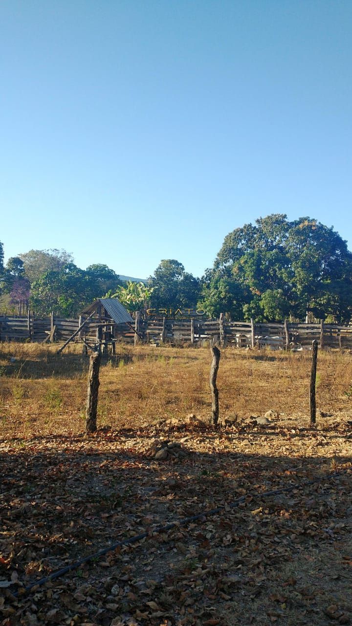 Fazenda à venda com 2 quartos, 80m² - Foto 5