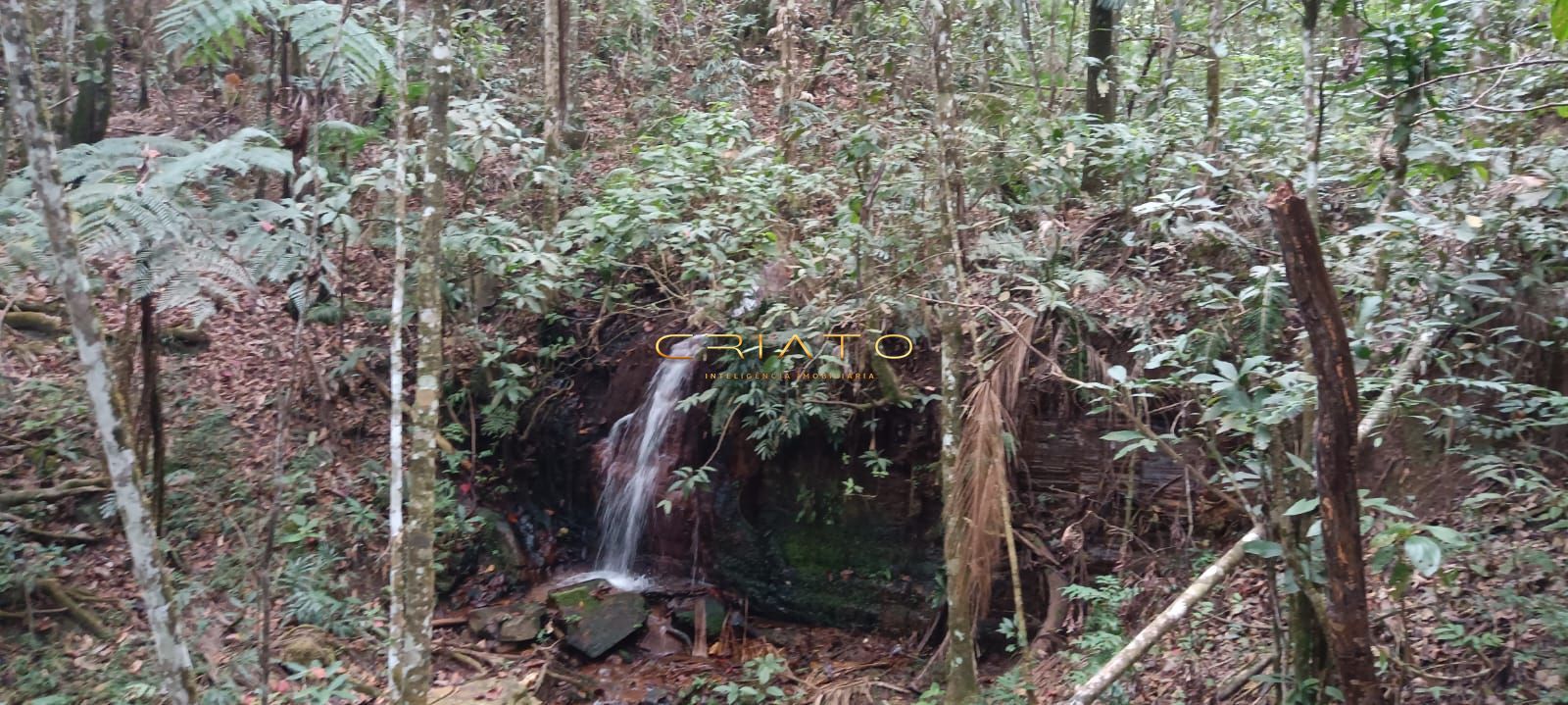 Chácara a venda em abadiânia - go - foto 11