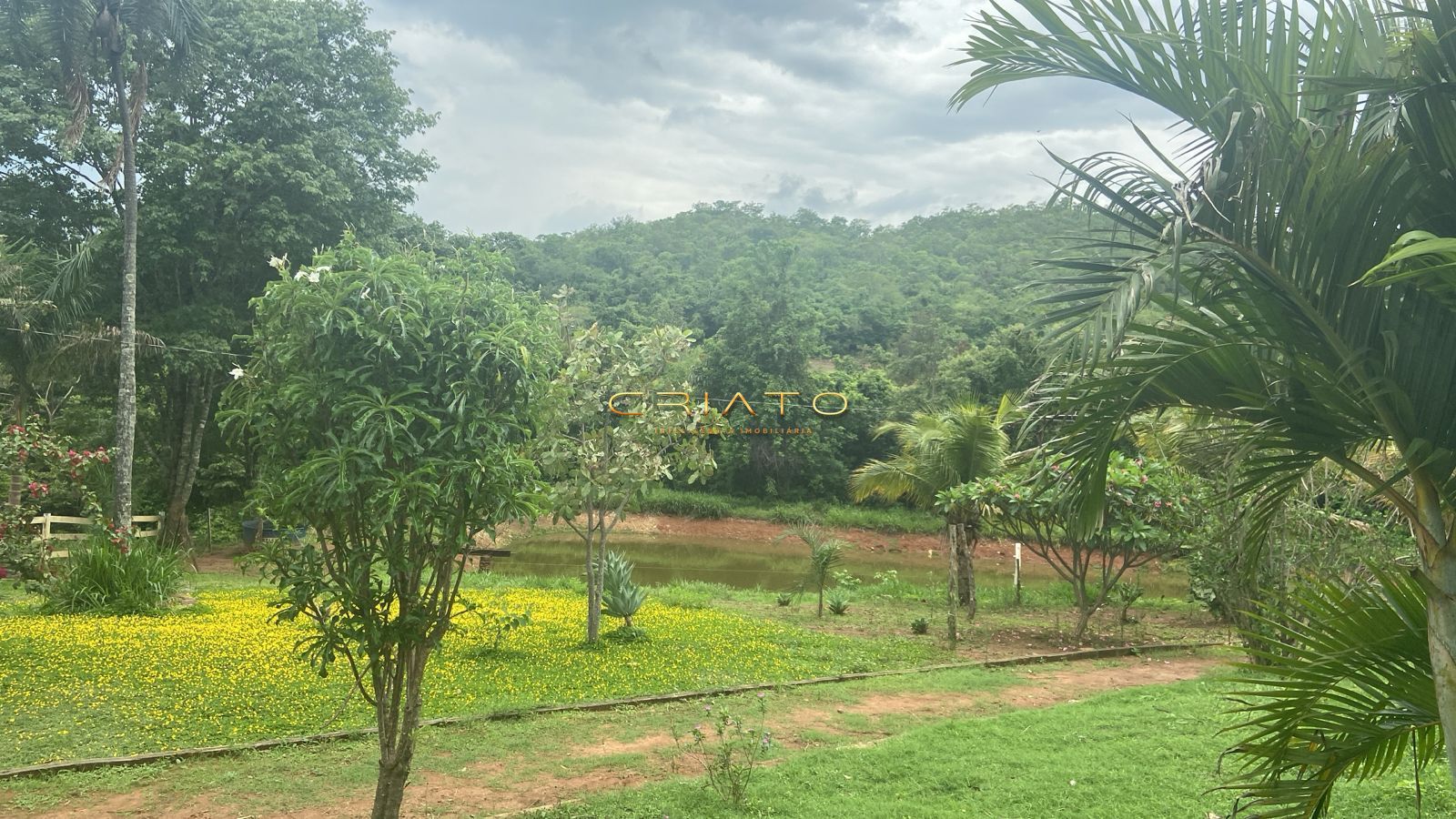 Fazenda, 188 hectares - Foto 2