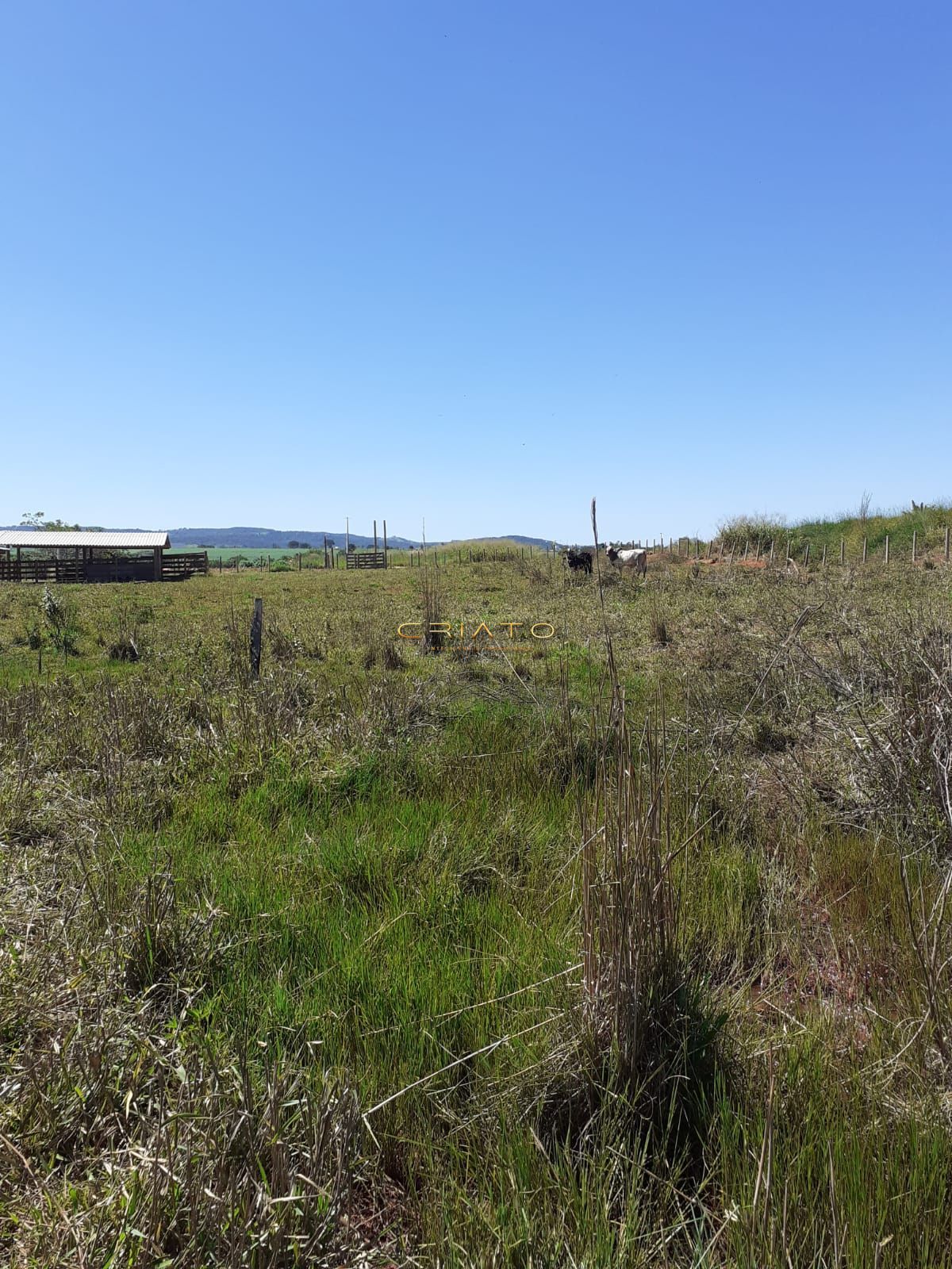 Fazenda à venda com 3 quartos, 20000m² - Foto 14