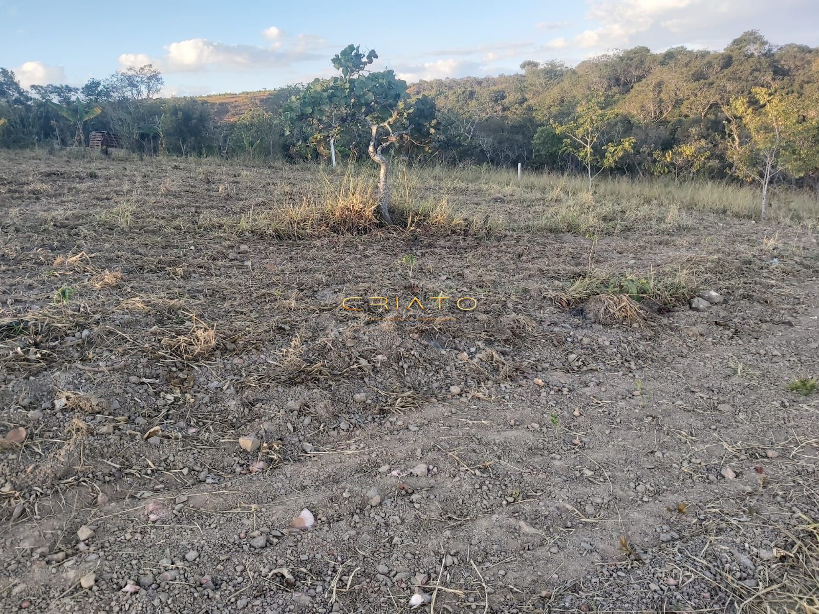 Loteamento e Condomínio à venda, 12500m² - Foto 8