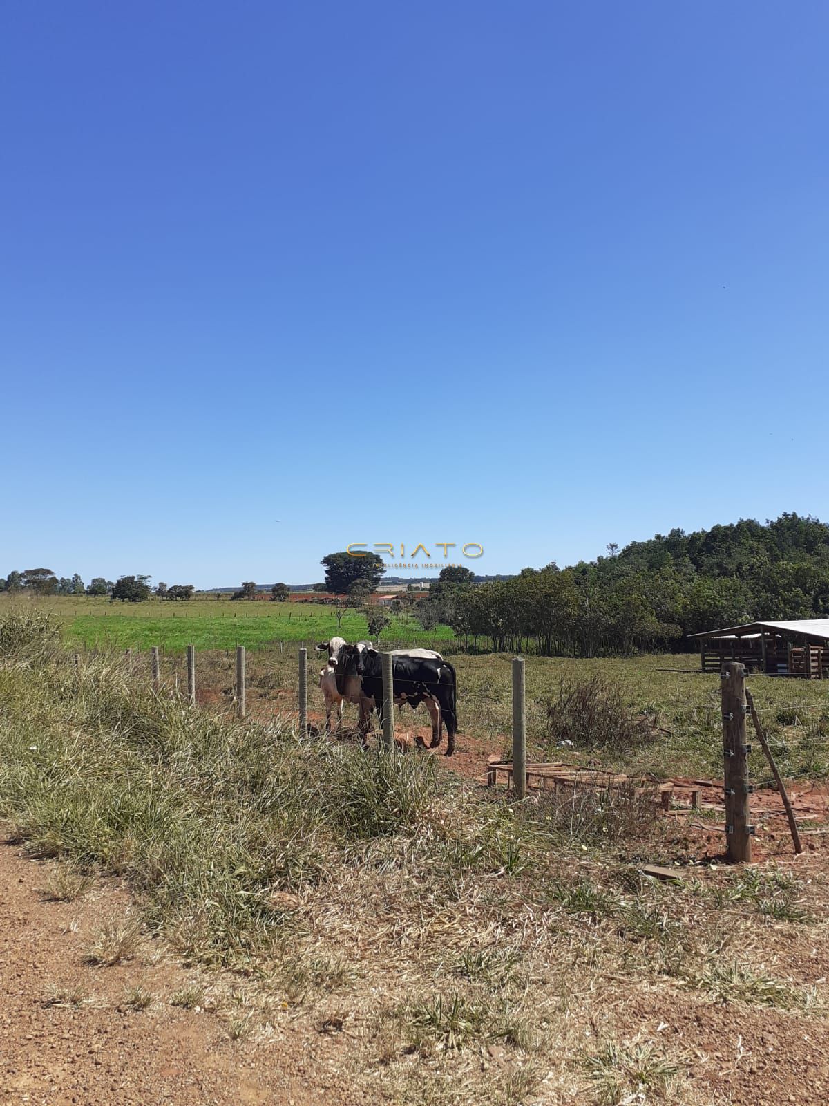 Fazenda à venda com 3 quartos, 20000m² - Foto 12