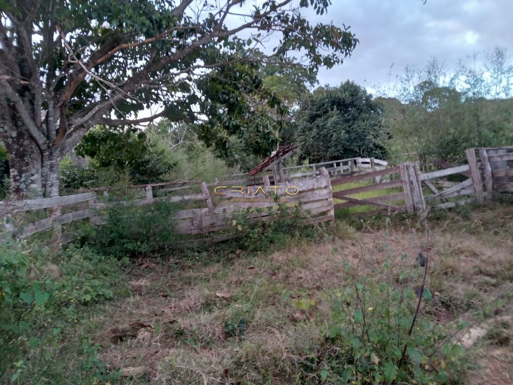 Fazenda à venda com 2 quartos, 36m² - Foto 13