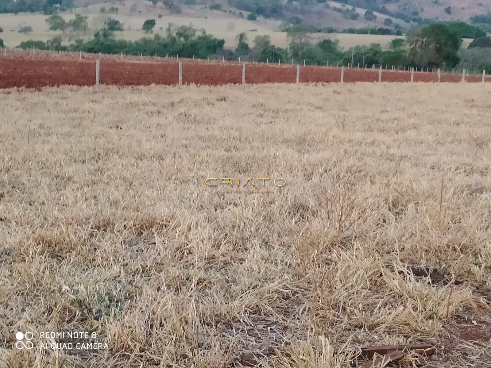 Sítio, 2 quartos, 5 hectares - Foto 19