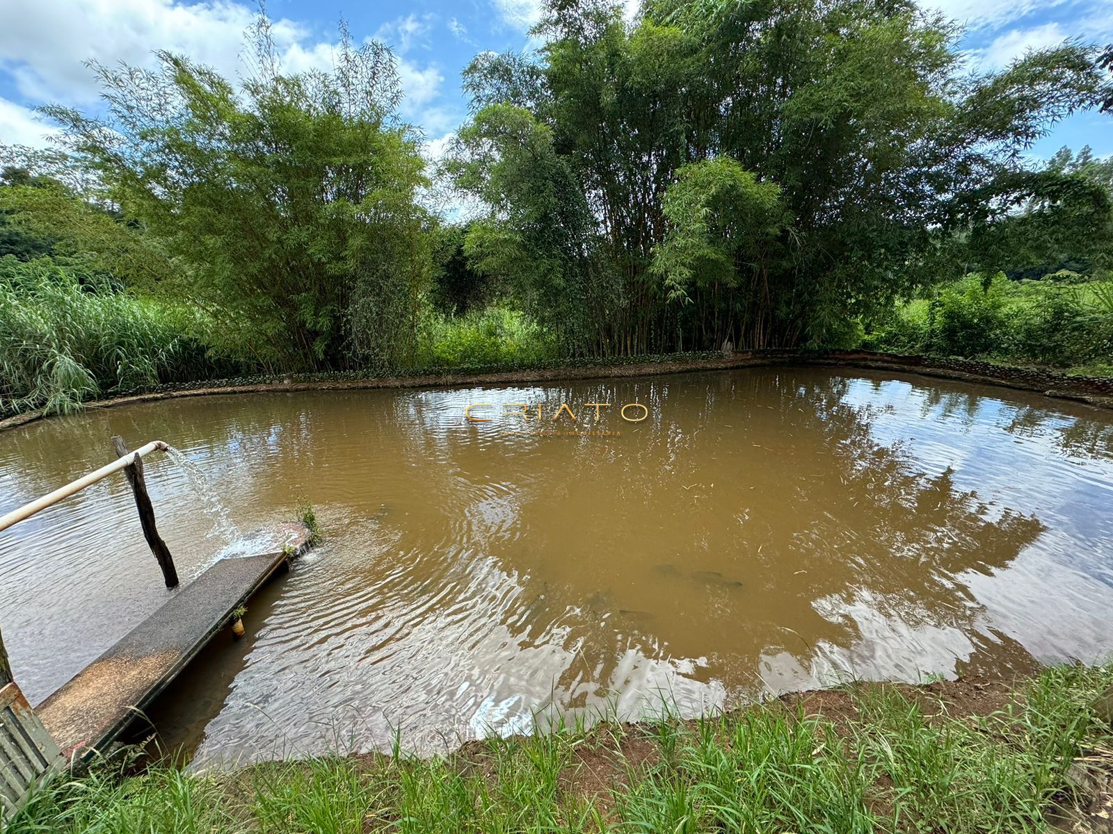 Fazenda à venda com 3 quartos, 300m² - Foto 16