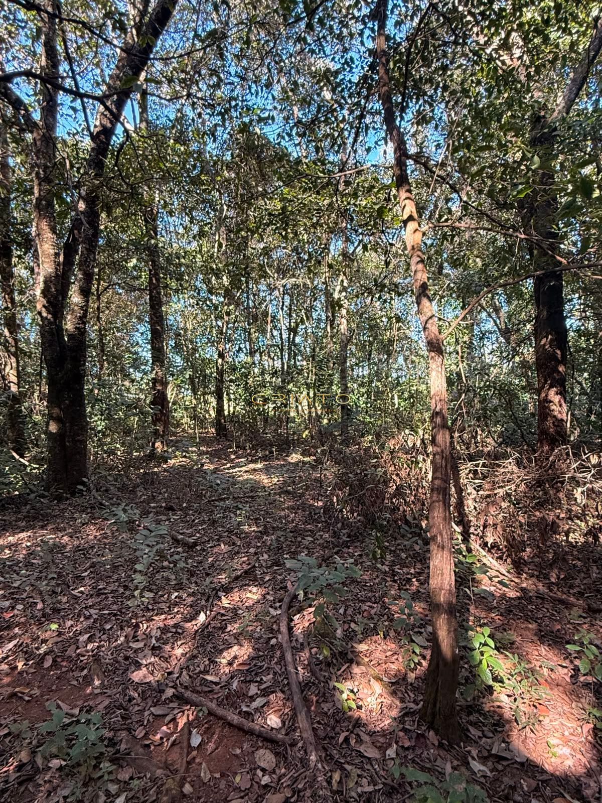 Terreno, 1200 m² - Foto 4