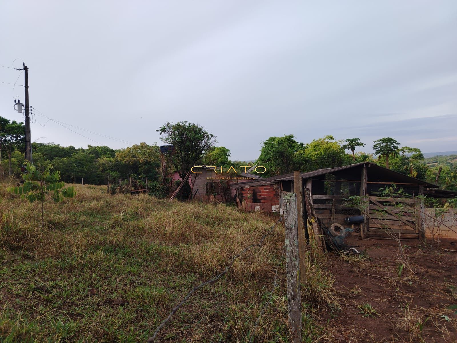 Fazenda à venda com 3 quartos, 5000m² - Foto 8