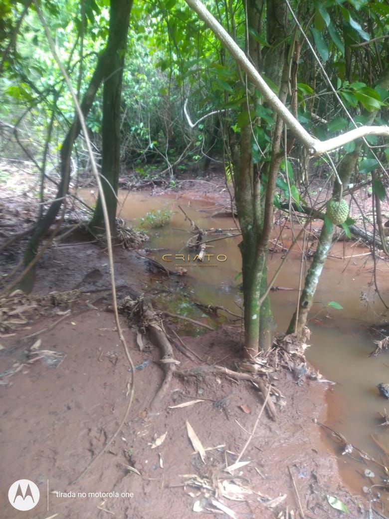 Loteamento e Condomínio à venda com 4 quartos, 100m² - Foto 4