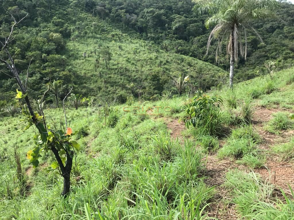 Fazenda à venda com 2 quartos, 80m² - Foto 18